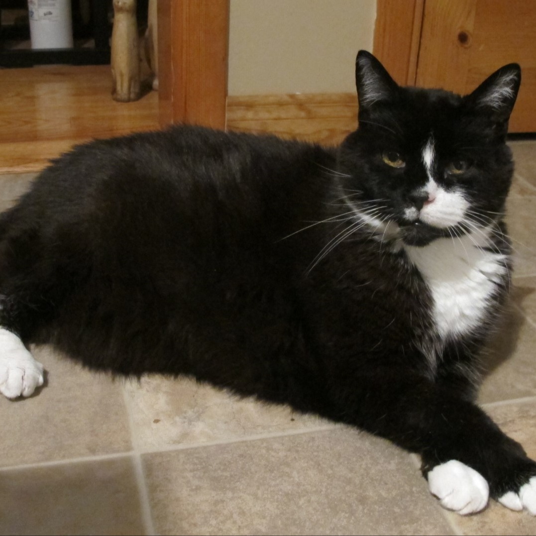 Image du participant