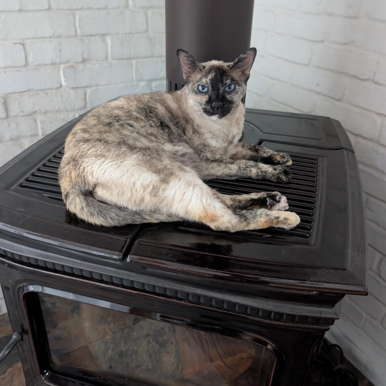 Image du participant