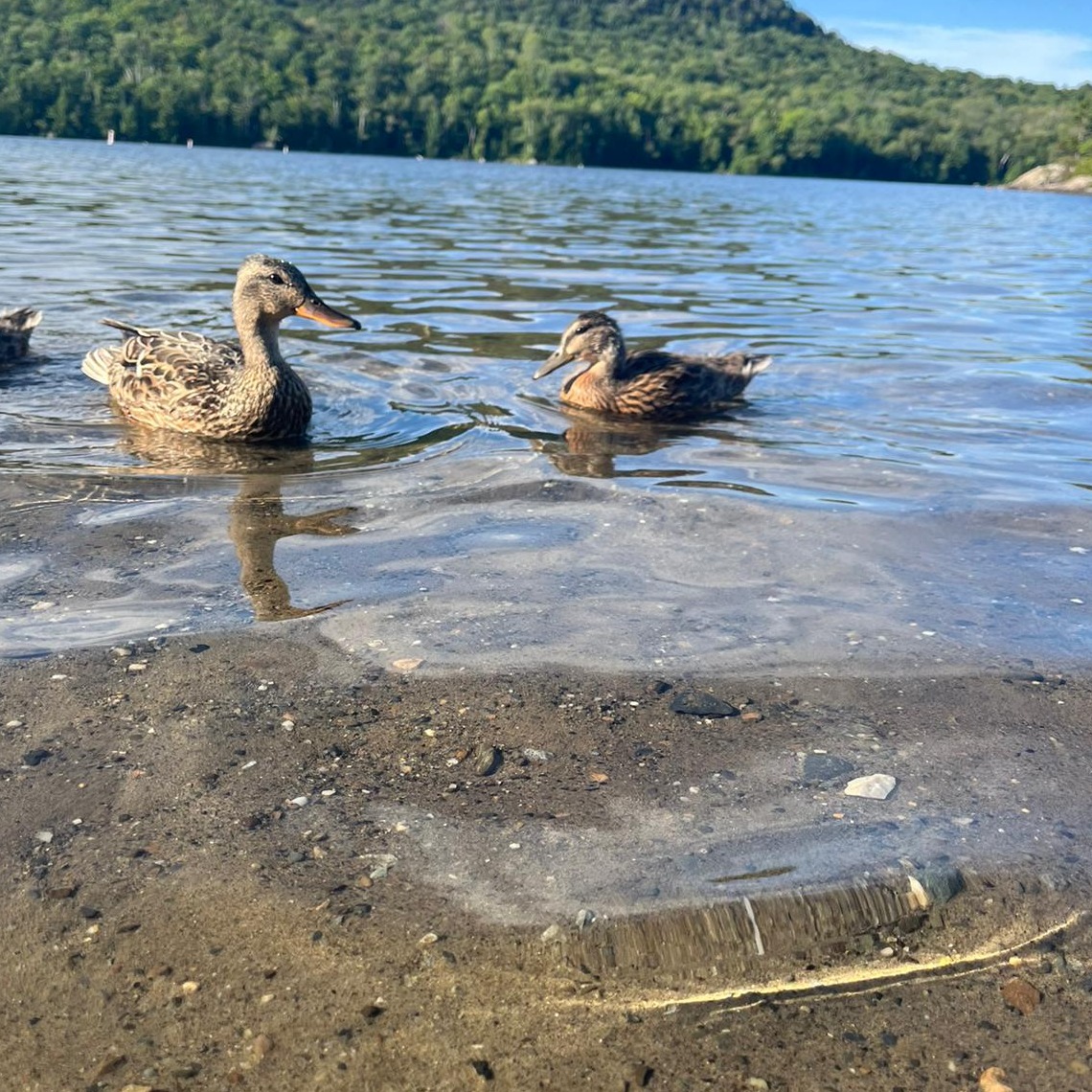 Image du participant