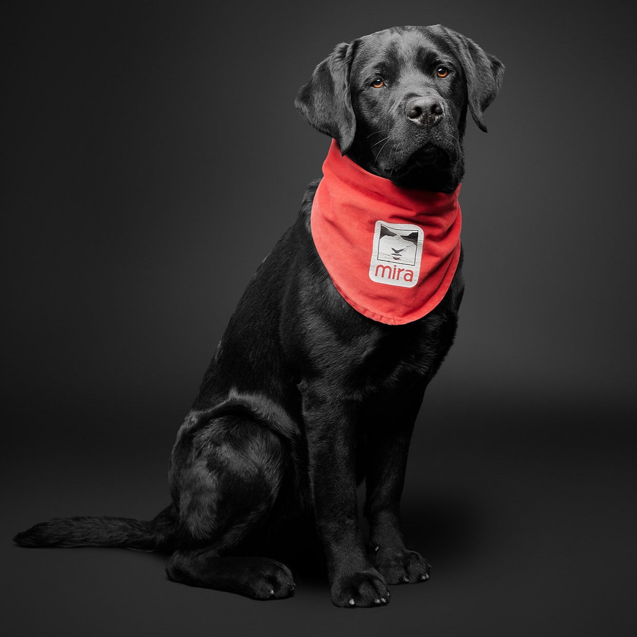 Participant picture