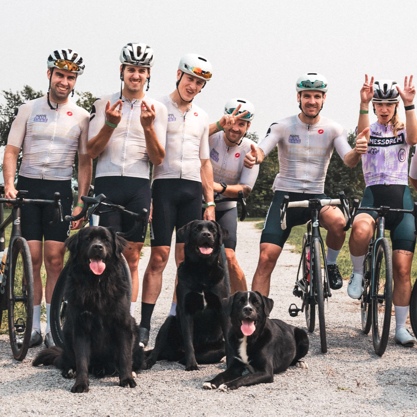 Team picture